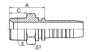 Zinco masculino hidráulico da conexão dos encaixes 13011-SP da polegada BSP do bocal 2 chapeado